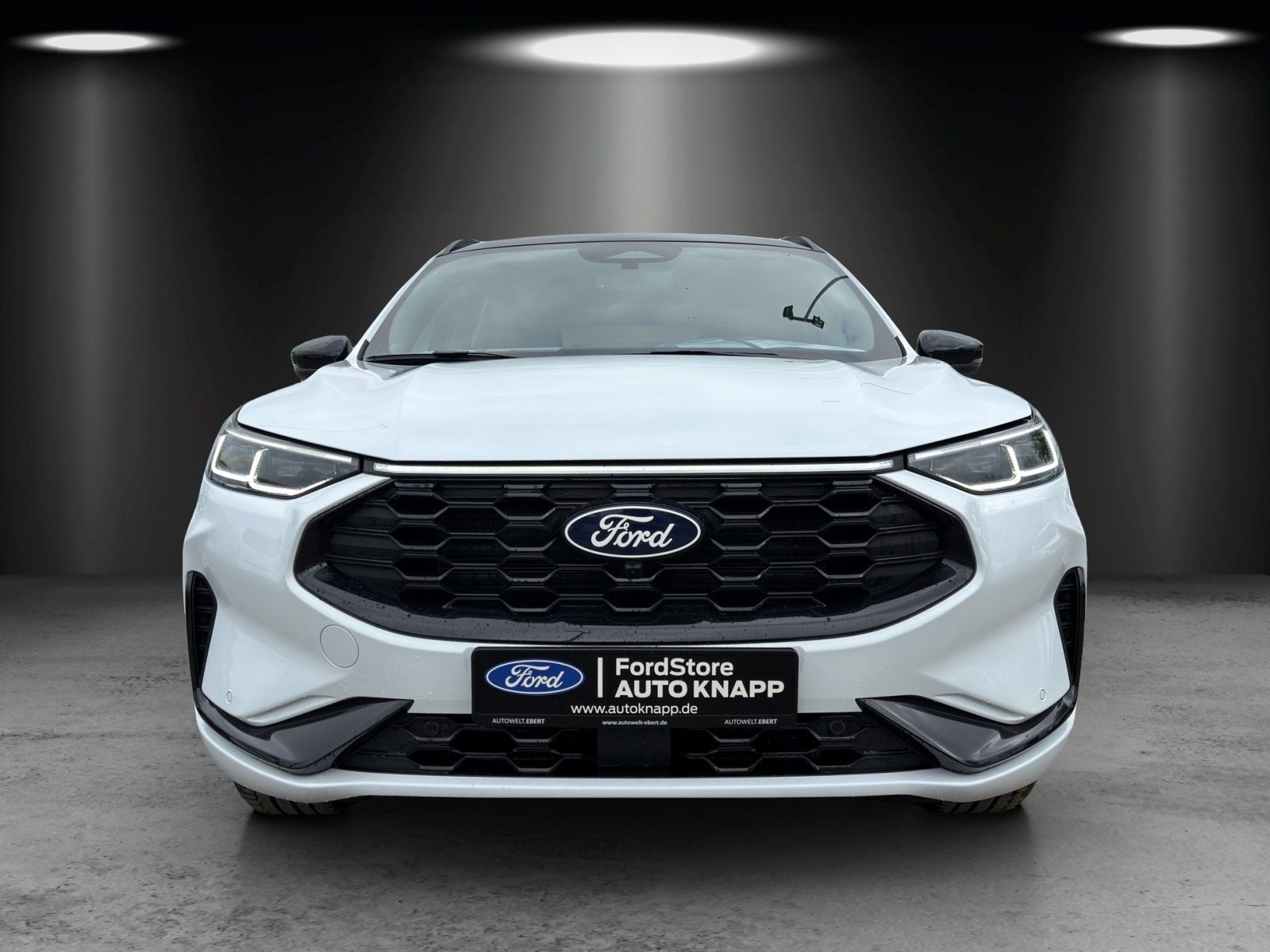 Fahrzeugabbildung Ford Kuga ST-Line X Black Package LED Matrix AHK ab.