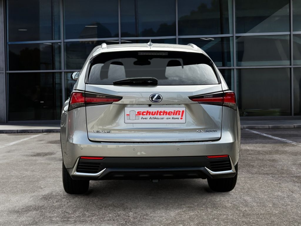 Fahrzeugabbildung Lexus NX 300h E-FOUR Luxury Line