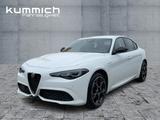 Alfa Romeo Giulia VELOCE 2.0 Turbo 280PS/19" SPECIALE - Alfa Romeo Giulia Tageszulassungen