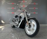 Harley-Davidson HARLEY-DAVIDSON 1130 V-ROD - VRSCA EDIZIONE LIMI - 2002 V ROD