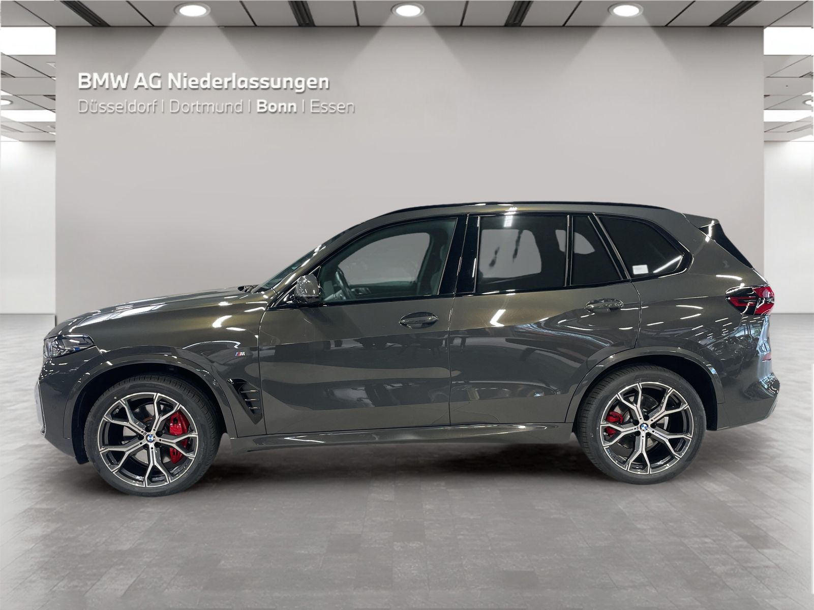 BMW X5 xDrive30d M Sport AHK Driv.Assist.Prof LED foto 3