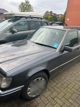 Mercedes-Benz 124 250 sauber kein Rost - Mercedes-Benz 250 aus 1994