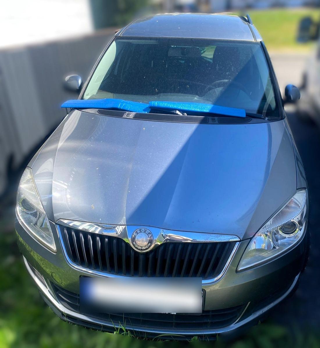 Skoda Roomster