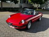Alfa Romeo Ital.Sehnsucht Alfa Spider 3*Bella Macchina*TOP* - Alfa Romeo Gebrauchtwagen von 1985