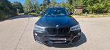 BMW X3 xDrive30d xLine AT xLine - BMW X3: 30d