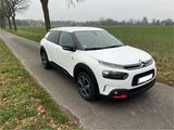 Citroën Citroen C4 Cactus 1,2 DAB Rückfahrkamera - gebrauchte Citroën C4 Cactus aus dem Jahr 2020