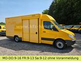 Mercedes-Benz Sprinter 906 Koffer Automatik Saxas CDI EU5 - Mercedes-Benz CDI