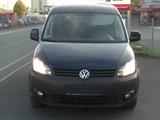 Volkswagen Caddy /Kombi Roncalli Trendline TDI/1,6l, TDI - Volkswagen Caddy: Roncalli