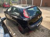 Fiat Punto 1.2 8V POP POP - Fiat Punto in Wiesbaden