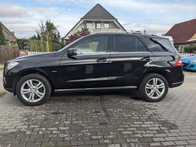 Mercedes-Benz ML 250 BlueTEC Schiebedach Totwinkel AHK 