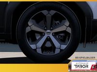 Dacia Duster - Vorschau Bild 6