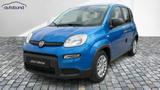 Fiat Panda 1,0  Hybrid (MHEV) Pandina Base NBA PDC  - Fiat Panda: Pandina