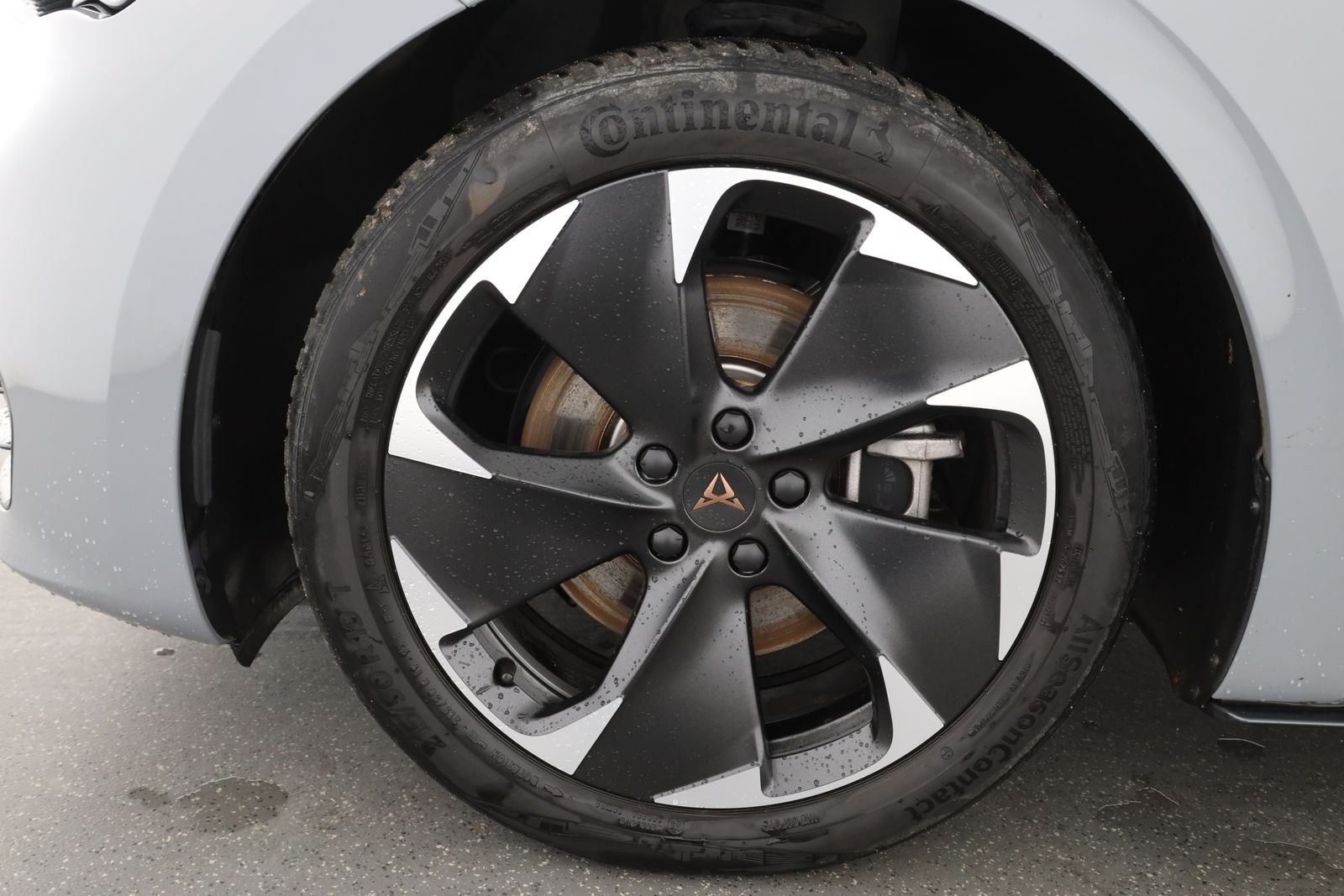 Cupra Born - Bild 8