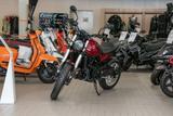 Benelli Leoncino 500 Trail,sofort lieferbar,Aktionspreis - BENELLI LEONCINO 500 TRAIL