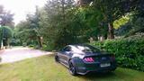 Ford Mustang 5.0 V8 Bullitt, MagneRide, neue Reifen - Ford Mustang: Bullit