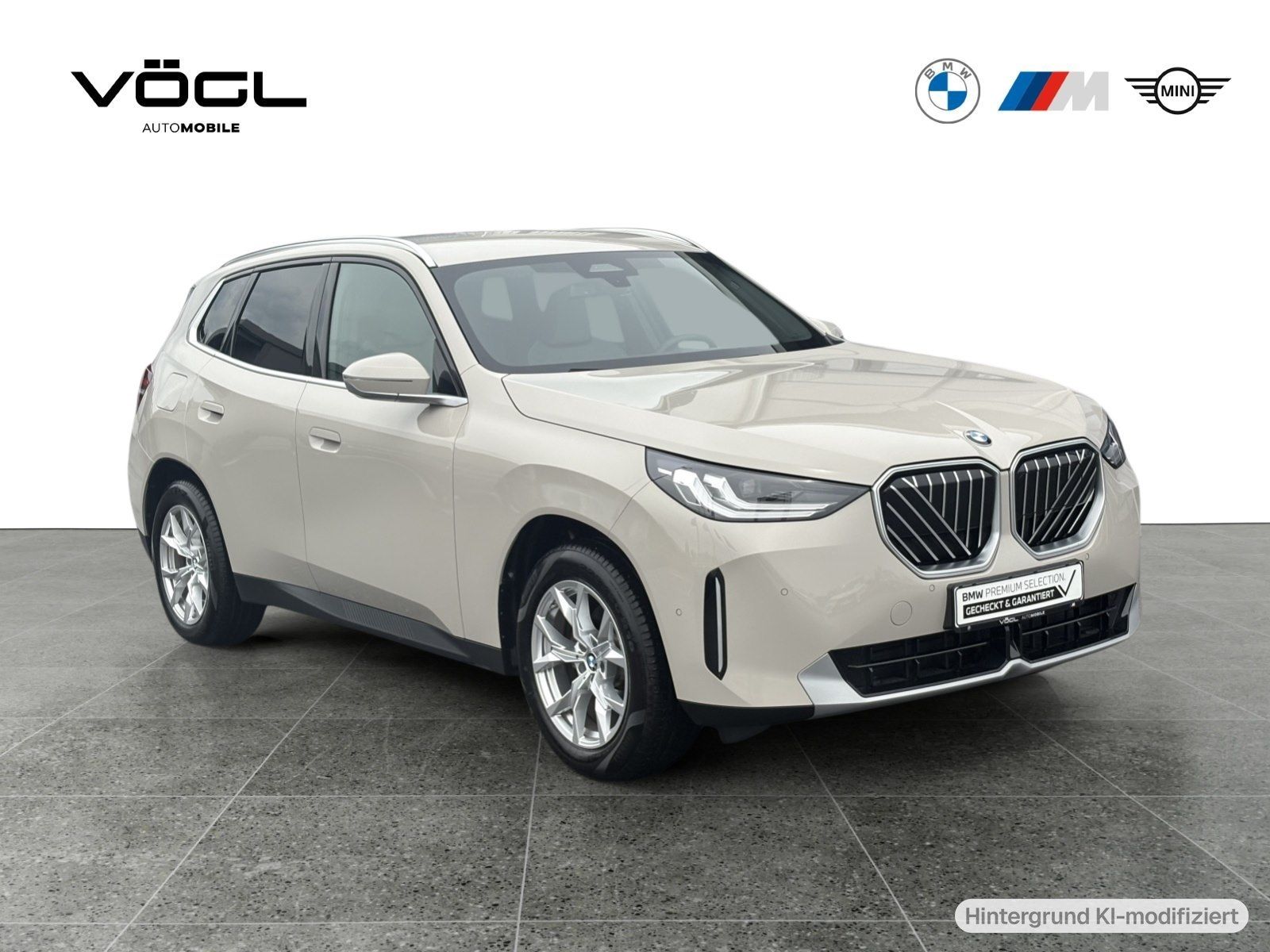 BMW X3 20 xDrive Driving Assistant Standheizung AHK foto 2