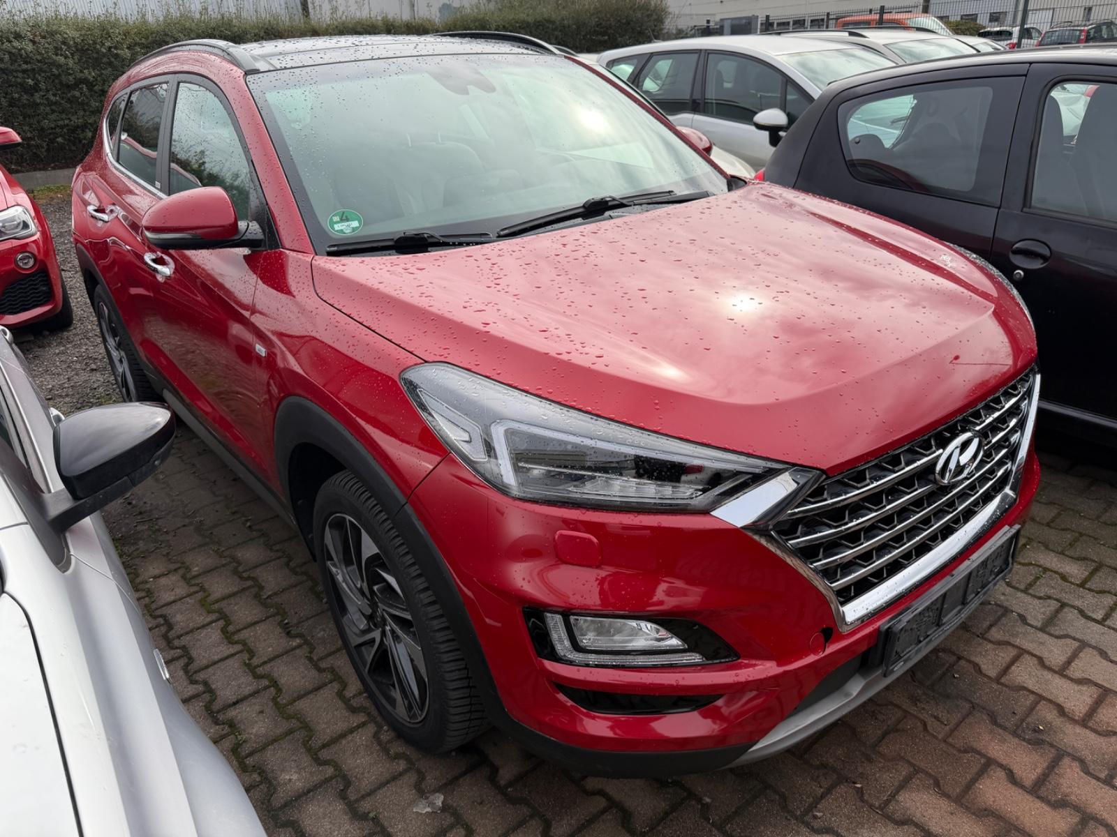 Hyundai Tucson 1.6TDI Premium Pano Leder DCT