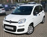 Fiat Panda 1.2 8V Pop 03/2027 TÜV - Fiat Panda: 2t