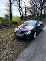 Volkswagen Gepflegter EOS ,wenig Km,zu verkaufen - Volkswagen Eos aus 2008