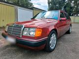 Mercedes-Benz Mercedes S124 W124 300TD ohne Turbo Kombi - Mercedes-Benz 300: Kombi, 300td