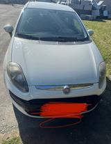 Fiat Punto weiß - Fiat Punto in Bielefeld