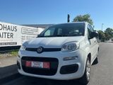 Fiat Panda Pop*TÜV*INSPEKTION* - Fiat Panda: Pop