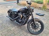 Harley-Davidson Sportster XL  Iron 883 Top Zustand A2 - Offers
