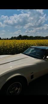 Andere Corvette c3 - Andere aus 1980