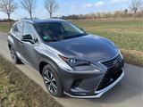 Lexus NX 300h Style Edition  - gebrauchte Lexus SUV & Geländewagen