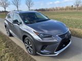 Lexus NX 300h Style Edition  - Lexus aus 2021