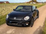 Volkswagen Beetle 1.2 TSI BMT ALLSTAR Cabriolet ALLSTAR - Volkswagen Beetle ALLSTAR mit Benzin-Antrieb