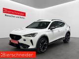 Cupra Formentor 2.0 TSI DSG 4Drive VZ LED NAVI 19 KAME