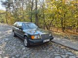 Mercedes-Benz W124 (1984-1993) - Mercedes-Benz: Kombi, W124