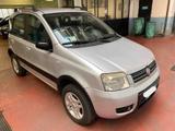 Fiat Panda 1.2 4x4 Climbing - Fiat Panda Climbing mit Benzin-Antrieb