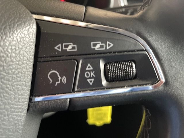 Leon ST Style 2.0 TDI Navi LED Sperrdiff. Apple 