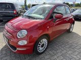 Fiat 500 C 1.2 8V Lounge SITZHEIZUNG,KLIMA,PDC,ALU - Fiat 500C mit Benzin-Antrieb: Cabrio, 8v Lounge