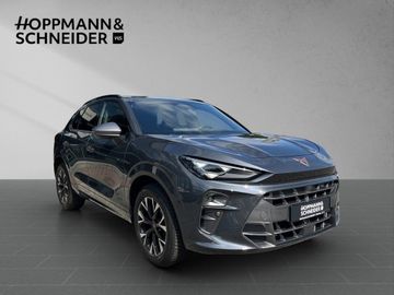 Cupra Terramar - 8
