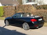 BMW 220i Cabrio Luxury Line - top Zustand - 8 x Alu - BMW: 2.8