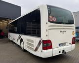 MAN Lions Regio - MAN Lions regio