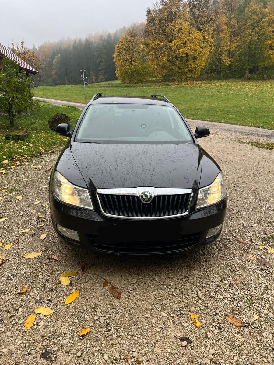 Skoda Octavia 2012 — rear view