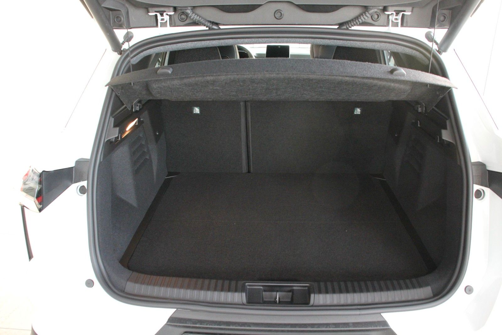 Fahrzeugabbildung Mitsubishi Grandis 1.8 HEV Intro Edition