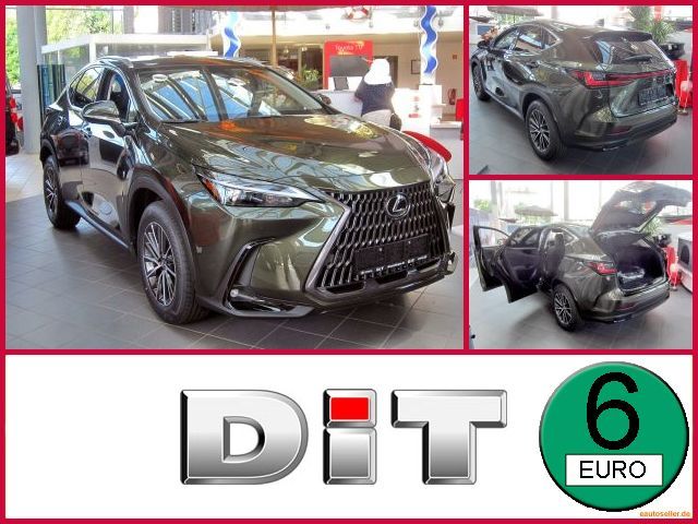 Lexus NX 350h Executive Line KlimaA., FLA, LM LED, ACC