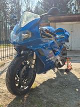 Triumph Daytona 955i  - TRIUMPH DAYTONA 955I