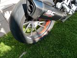 BMW 1250 RS -1 Hand Service Neu -Garantie 09.2027- - Angebote
