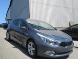 Kia cee'd / Ceed Dream Team- SHZ-LHZ-Tempo-AHK-Alu - Kia cee'd / Ceed in Essen