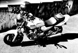 Yamaha XJR 1300 RP02 - YAMAHA 2000 R1