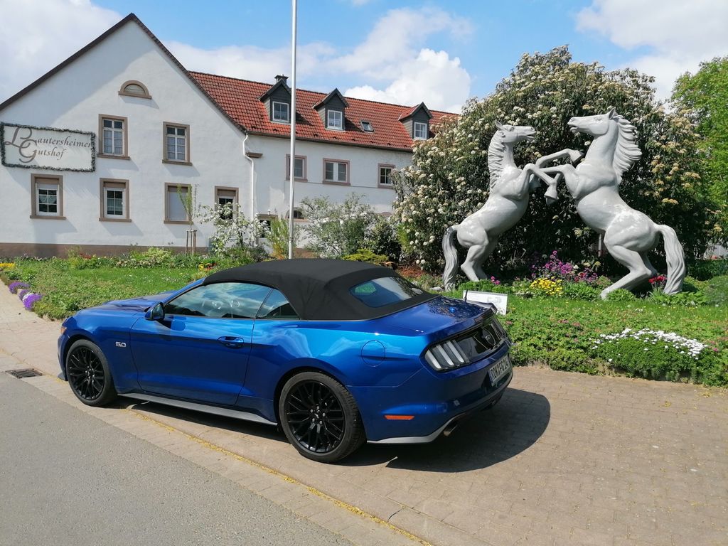 Image of Ford Mustang