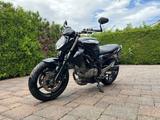 Suzuki Gladius SFV650 tiefergelegt - Offers
