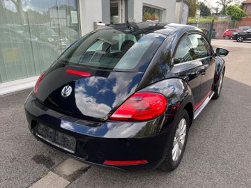 Volkswagen Beetle - 11