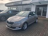 Skoda Fabia COOL PLUS 1.0MPI 44kW 60PS *SHZ - Skoda Fabia: 60 Ps